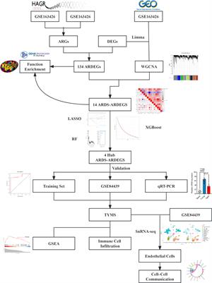 ARDS and aging: TYMS emerges as a promising biomarker and therapeutic target